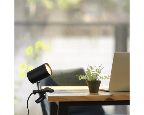 Klemmlampe auf einem Schreibtisch mit Laptop und Pflanze