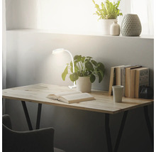 Schreibtisch mit Lampe, Buch und Pflanze für ein helles Arbeitszimmer