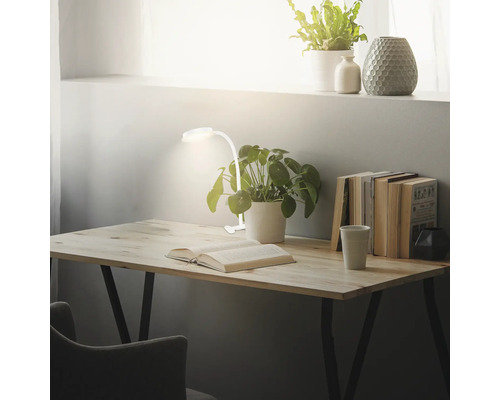 Schreibtisch mit Lampe, Buch und Pflanze für ein helles Arbeitszimmer