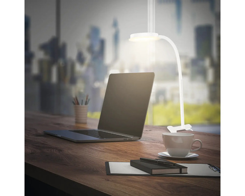 Schreibtisch mit Laptop, Schreibtischlampe, Notizblock, Stift und Kaffeetasse