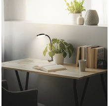 Schreibtisch mit Buch, Lampe, Topfpflanzen und Büchern für eine angenehme Arbeitsatmosphäre.