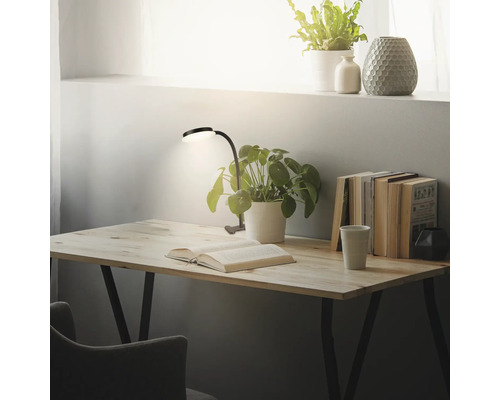 Schreibtisch mit Buch, Lampe, Topfpflanzen und Büchern für eine angenehme Arbeitsatmosphäre.