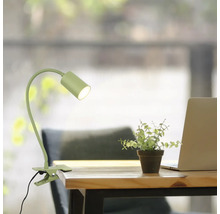 Schreibtischszene mit Klemmleuchte, Pflanze und Laptop auf einem Holztisch.