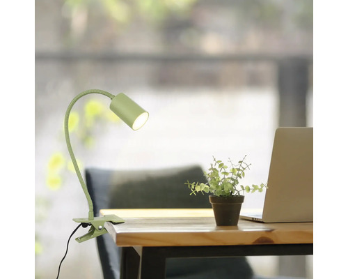 Schreibtischszene mit Klemmleuchte, Pflanze und Laptop auf einem Holztisch.