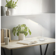 Schreibtischszene mit geöffnetem Buch, Topfpflanzen und einer weißen Schreibtischlampe