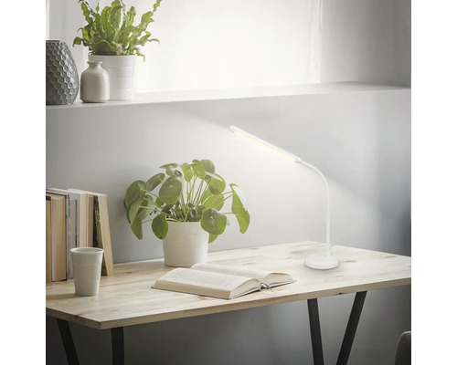 Schreibtischszene mit geöffnetem Buch, Topfpflanzen und einer weißen Schreibtischlampe