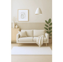 Salon avec canapé, tapis, armoire d'appoint, plante d'intérieur et décoration