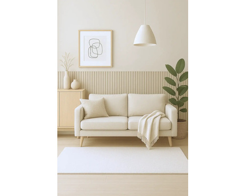 Salon avec canapé, tapis, armoire d'appoint, plante d'intérieur et décoration