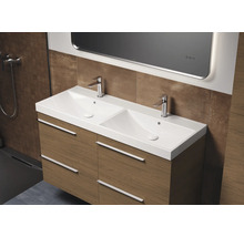 Double vasque avec meuble sous-vasque et deux robinets dans la salle de bain