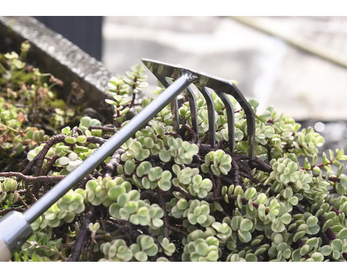 Rateau de jardin pour travailler le sol entre les plantes