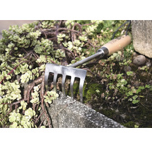 Râteau à main de jardin avec manche en bois et dents en métal entre les plantes