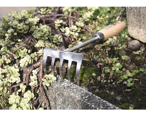 Râteau à main de jardin avec manche en bois et dents en métal entre les plantes