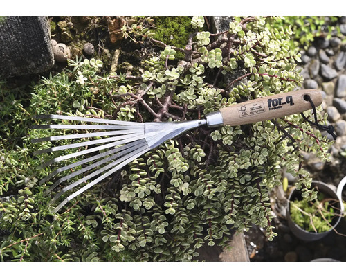 Râteau de jardin avec manche en bois et dents en métal, entouré de plantes vertes.