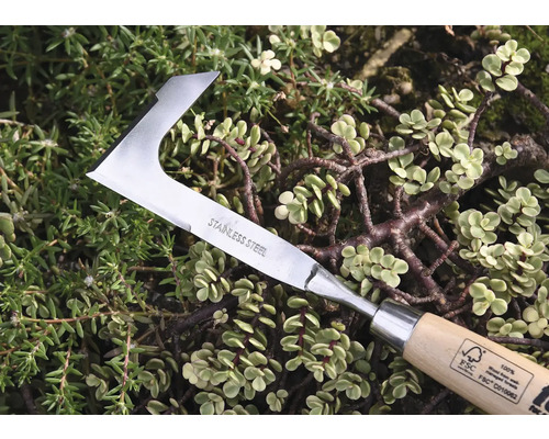 Jätemesser aus Edelstahl mit Holzgriff