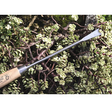 Unkrautstecher mit Holzgriff vor Pflanzen