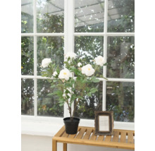 Rosier artificiel à fleurs blanches en pot sur une table devant une fenêtre.