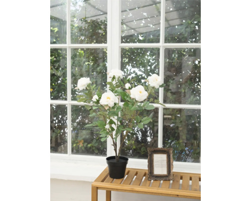Rosier artificiel à fleurs blanches en pot sur une table devant une fenêtre.