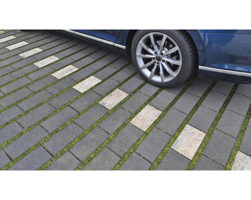 Dalles de gazon sur une allée avec une partie d'une voiture