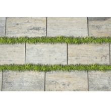 Pavés en béton avec joints gazonnés pour allée de jardin