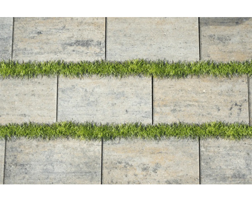 Pavés en béton avec joints gazonnés pour allée de jardin
