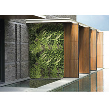 Aussenansicht mit begrünter Wand, Steinmauer und Wasserspiegelung