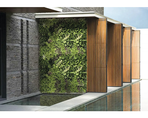 Aussenansicht mit begrünter Wand, Steinmauer und Wasserspiegelung