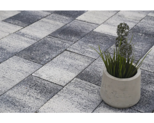 Pavés autobloquants avec plante en pot