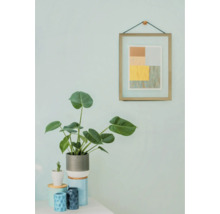 Plante d'intérieur décorative avec cadre photo au mur
