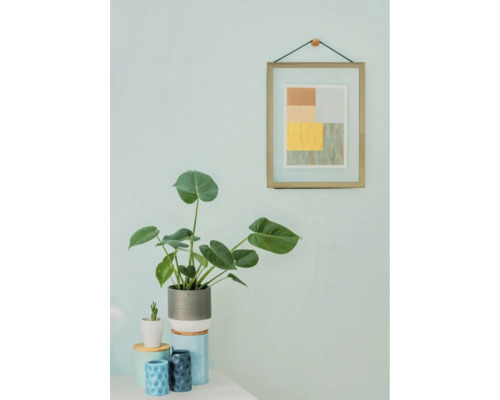 Plante d'intérieur décorative avec cadre photo au mur