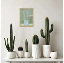 Divers cactus en pot sur une étagère sous une image encadrée