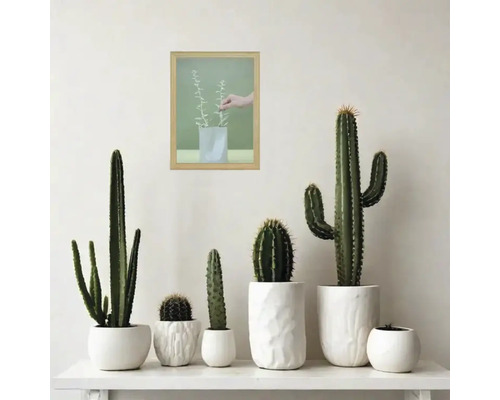 Divers cactus en pot sur une étagère sous une image encadrée
