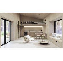 Intérieur avec murs en bois, kitchenette, coin salon et lit alcôve