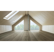 Grenier aménagé avec lambris, fenêtres de toit et fenêtres à pignon.