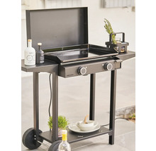 Chariot de gril avec couvercle, surface de rangement et roues pour l'extérieur