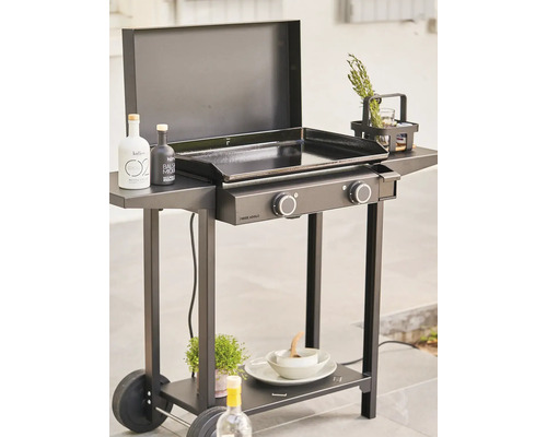 Chariot de gril avec couvercle, surface de rangement et roues pour l'extérieur