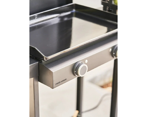Vue détaillée d'un chariot de grill Forge Adour avec plaque de cuisson et commandes.