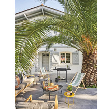 Terrasse avec mobilier de jardin, barbecue et palmier devant une maison