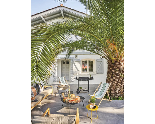 Terrasse avec mobilier de jardin, barbecue et palmier devant une maison