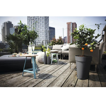 Terrasse sur le toit avec coin salon, table et plante en pot sur fond de bâtiments urbains