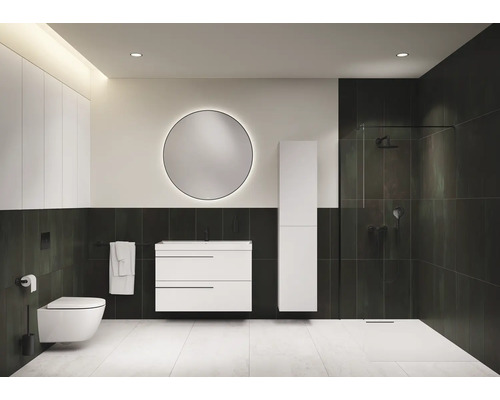 Salle de bains avec WC, meuble sous-lavabo, armoire de toilette et douche