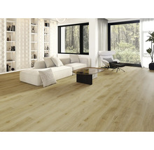 Espace de vie lumineux avec sol imitation bois, canapé, fauteuils et étagères