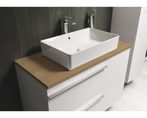 Meuble-lavabo avec lavabo à poser et meuble sous-lavabo pour la salle de bain.