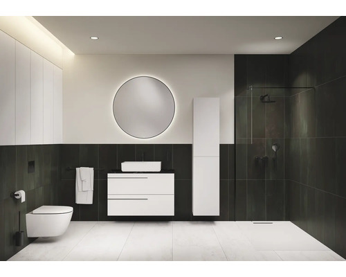 Salle de bain moderne avec toilettes, lavabo, armoire de toilette et douche