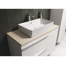 Meuble sous-lavabo avec lavabo à poser, robinetterie et distributeur de savon