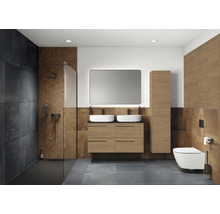 Salle de bains moderne avec douche, meuble-lavabo avec deux lavabos, miroir et toilettes.