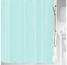 Salle de bains avec rideau de douche