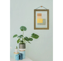 Plante d'intérieur décorative en pot avec art mural abstrait encadré.