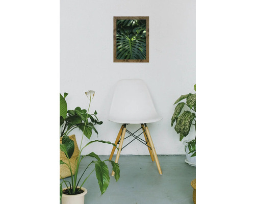 Image décorative avec motif de jungle dans un cadre en bois au-dessus d'une chaise, entourée de plantes d'intérieur.