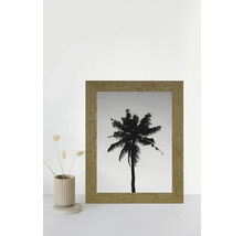 Image décorative avec une photo en noir et blanc d'un palmier dans un cadre