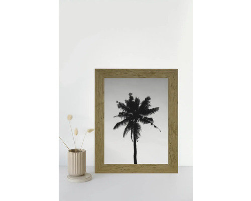 Image décorative avec une photo en noir et blanc d'un palmier dans un cadre